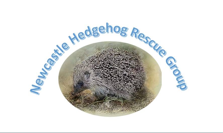 a hedgehog with the title of the organisation in an arch above.